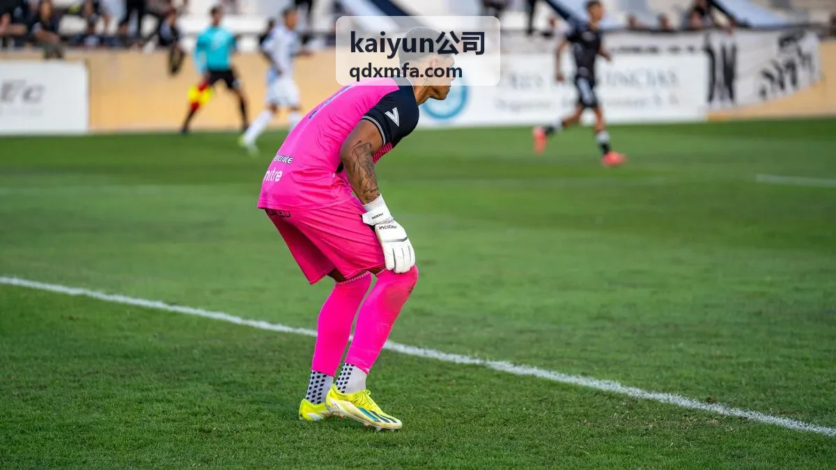 kaiyun公司知识专题中关于资料归档与文档整理的示意画面